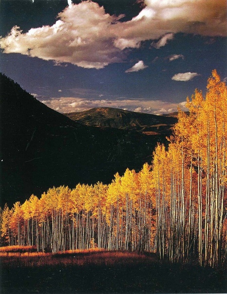 Дэвид Мюнх (David Muench) Американский фотограф, чье творчество считается эталоном для пейзажных фотографов не только в Северной Америке, но и во всем мире, продолжает плодотворно работать, при