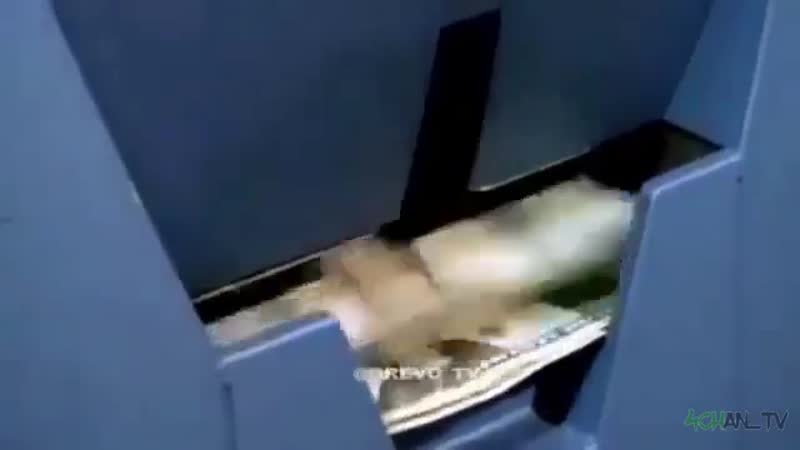 Пердёжь