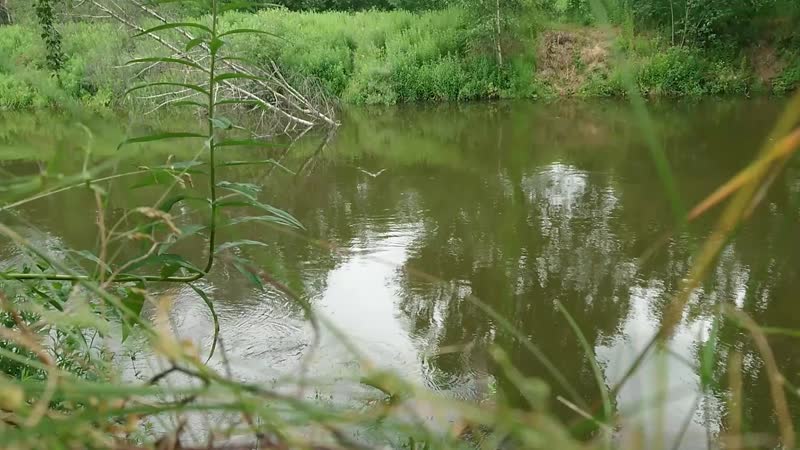 YouCut_20190619_152454392.mp4