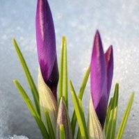 Юлия Гладких | Бакал