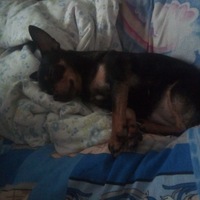 Денис Булатов | Снежинск