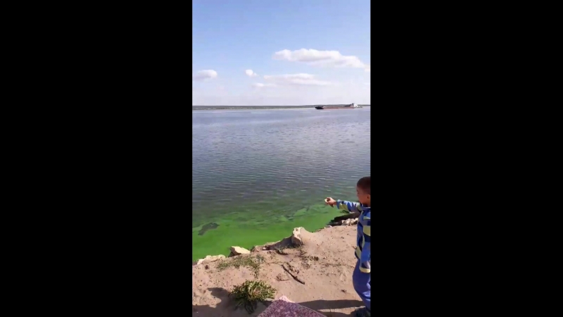 VID_222470403_152801_546.mp4