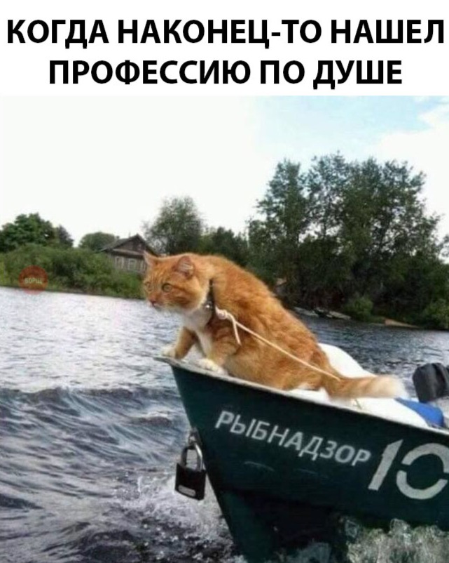 Bjl8W0lyg1A.jpg