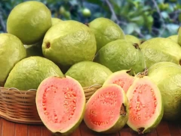 Guava Plus Serum