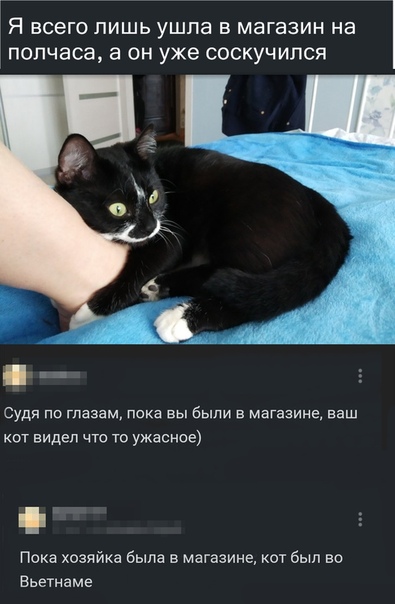 мемасики