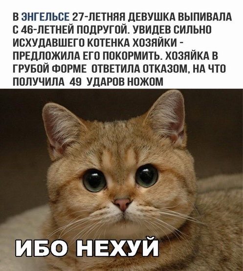 uZpOVDPyoGc.jpg