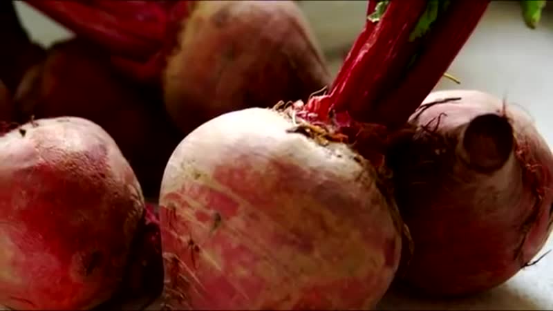 VID-20190219-WA0075.mp4