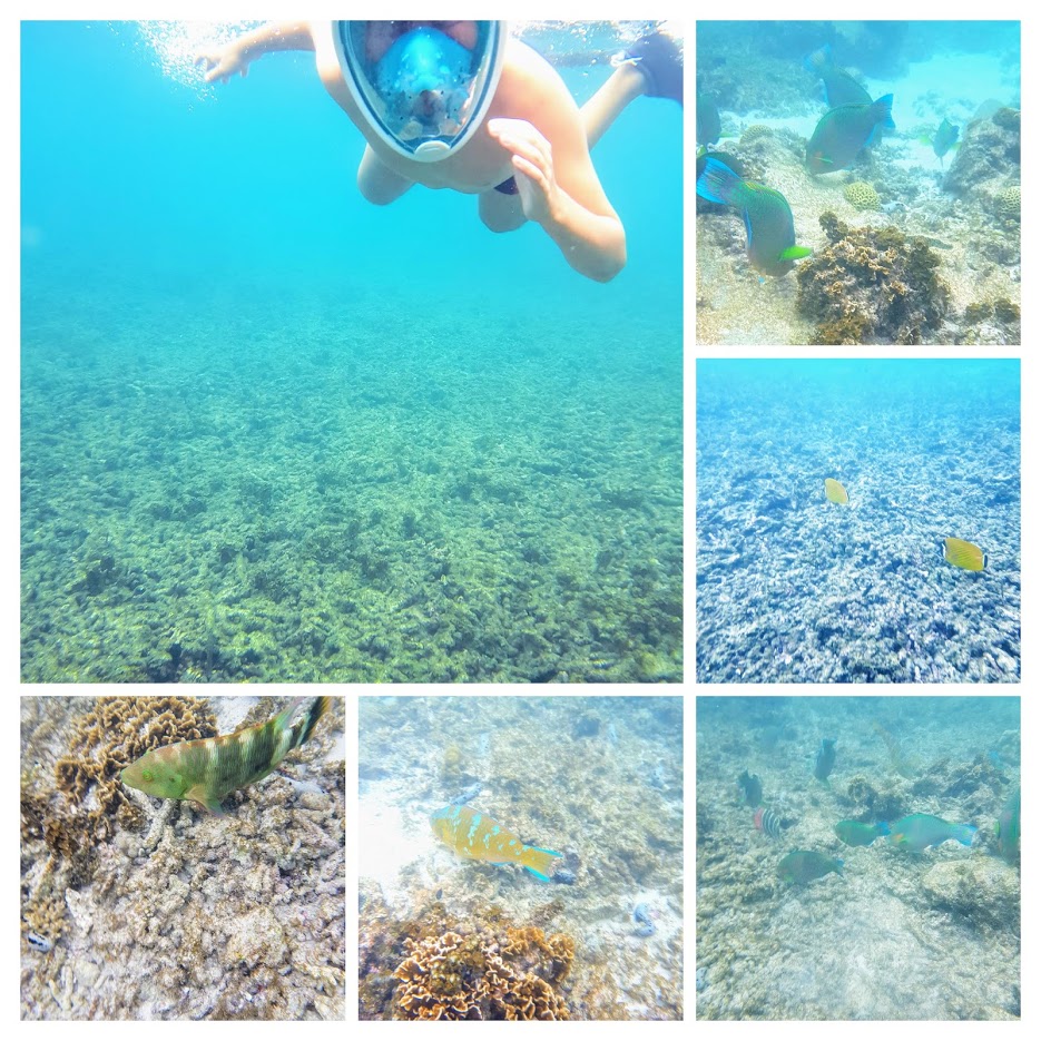 Дождливый июль в солнечном Таиланде