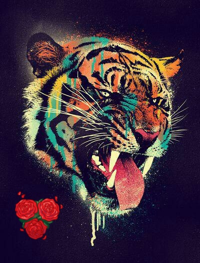 Артём Гаман, Украина, Запорожье