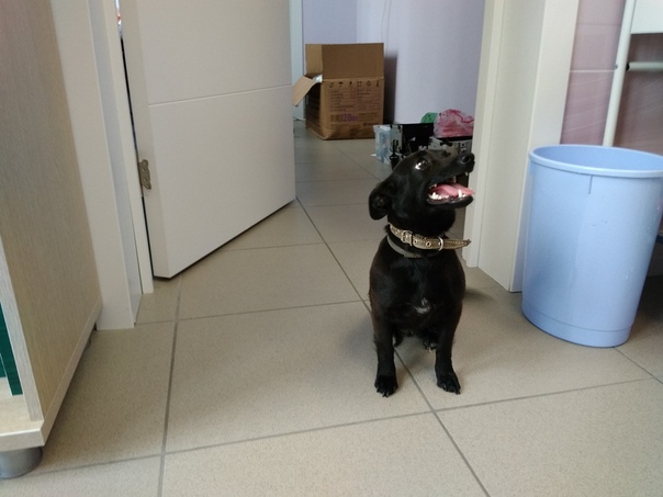 г.Пенза 
На трассе Пенза — Москва, рядом с постом ГАИ найде