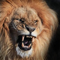 Денис Александрович