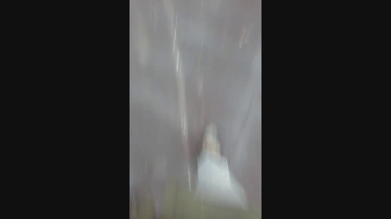 стадик