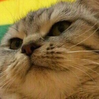 Фото профиля Gfyfgutfhh Hfdfhyfv