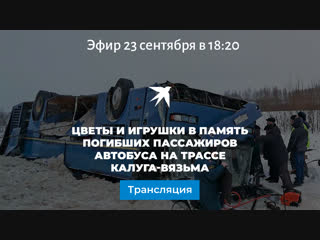Цветы и игрушки в память погибших пассажиров автобуса на трассе Калуга-Вязьма
