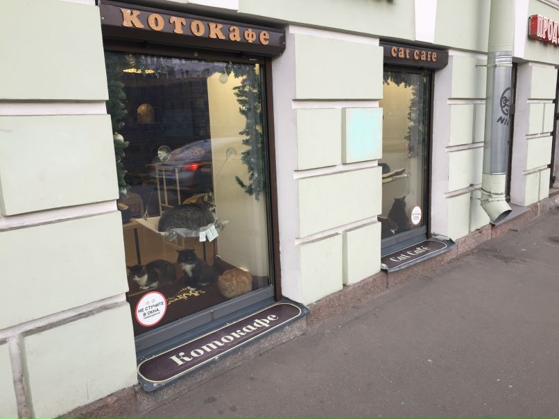 Санкт-Петербург Спас на крови и ДаблБи. КОтокафе