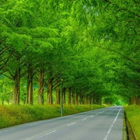 Татьяна Лесникова | Алтайское