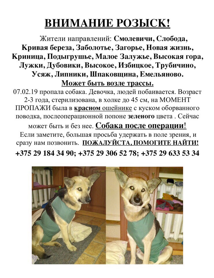 Беларусь, Смолевичский район