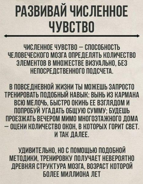 Простые способы стать умнее. Развивайся! Замечали ли вы, что с возрастом становится все труднее концентрироваться, изучать большие объемы информации, просчитывать варианты развития событий и