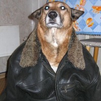 Фокеев Сергей
