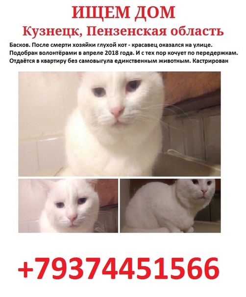 ✅Кузнецк, Пенза и районы области✅ 
 
Очаровательный блонди