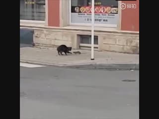 когда зашел не на тот райончик