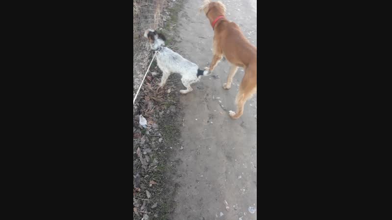 20190109_162019.mp4