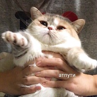 Аватар