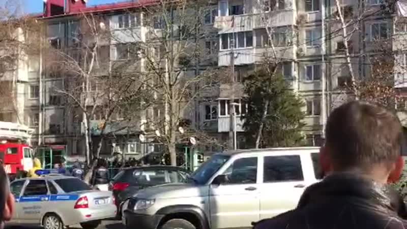 лорис