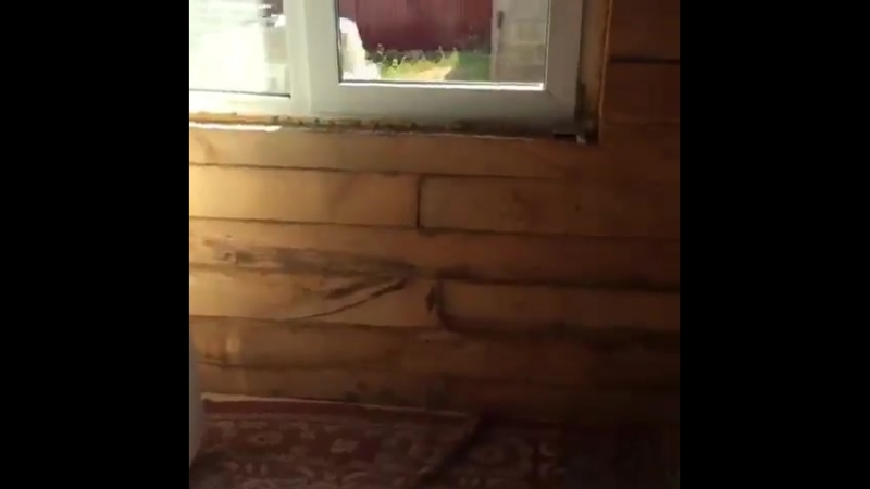 ниху..себе