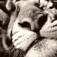 Юлия Колоскова | Средняя Липовка