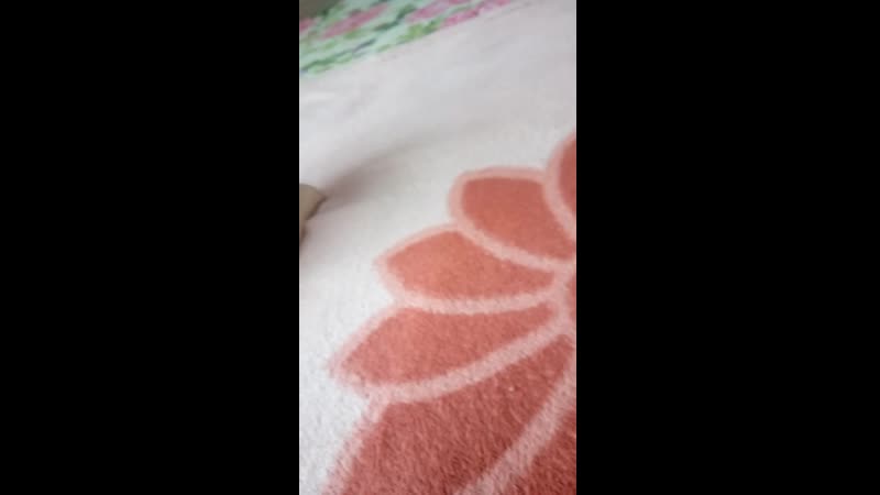 20170825_111419.mp4