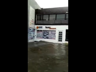 После дождя