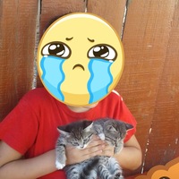 Алексей Спирин | 