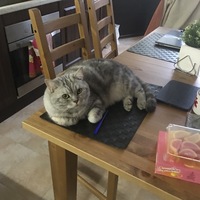 Лилия Шуваева