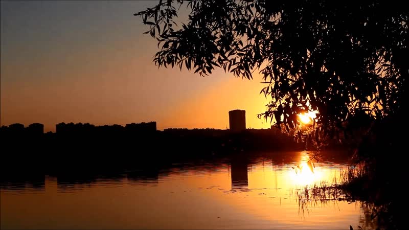 Впопыхах, на обрывках лета