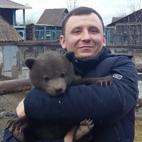 Алексей Саул | 