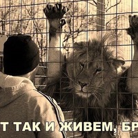 Дастон Хакимов