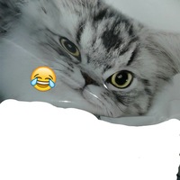 Аня Плотникова | Ижевск