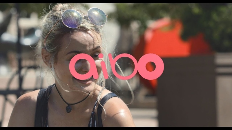 Sony aibo