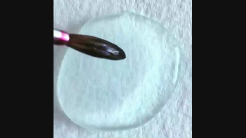 VID_85560708_224257_272.mp4
