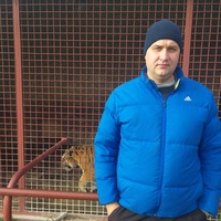 Александр Светов | 