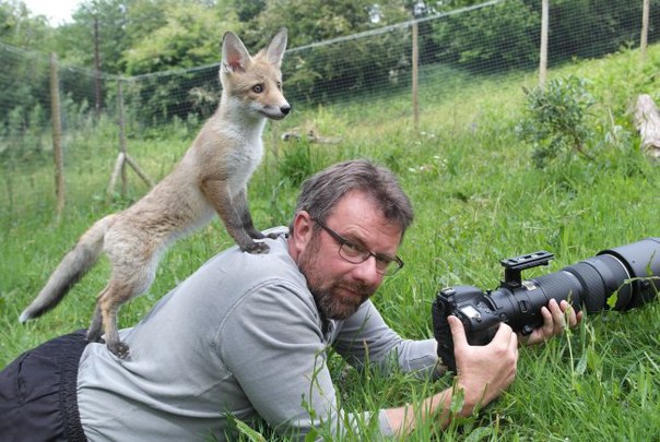 10 фотографов, которые подобрались к животным слишком близко Есть такие невероятные люди на свете, и это — фотографы. Энтузиасты своего дела и просто хорошие люди, готовые ради удачного кадра на
