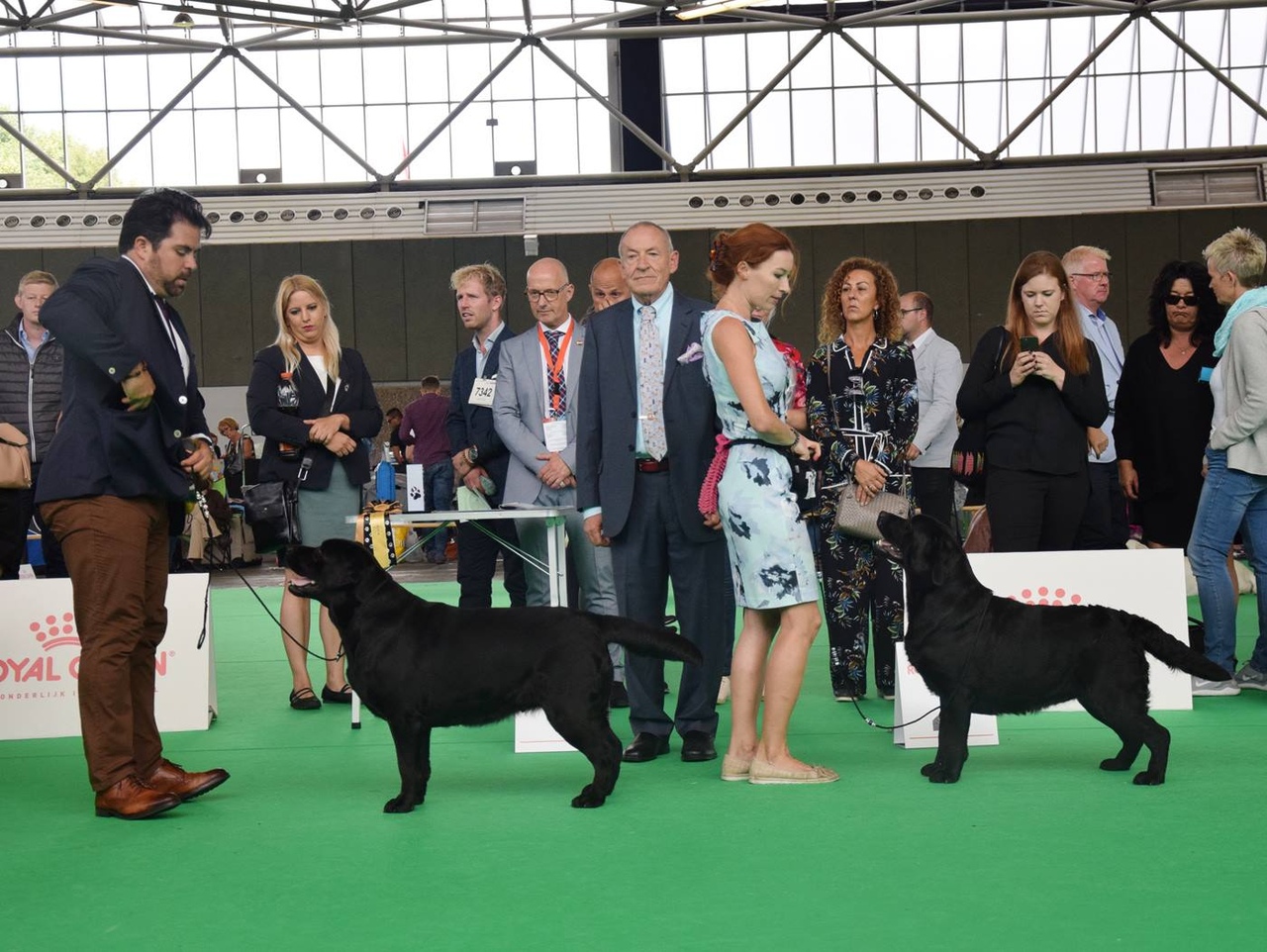 World Dog Show (Чемпионат мира собак) в 2018 году World Dog Show (Чемпионат мира собак) в 2018 году