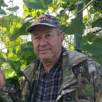 Николай Пономарев | Санкт-Петербург