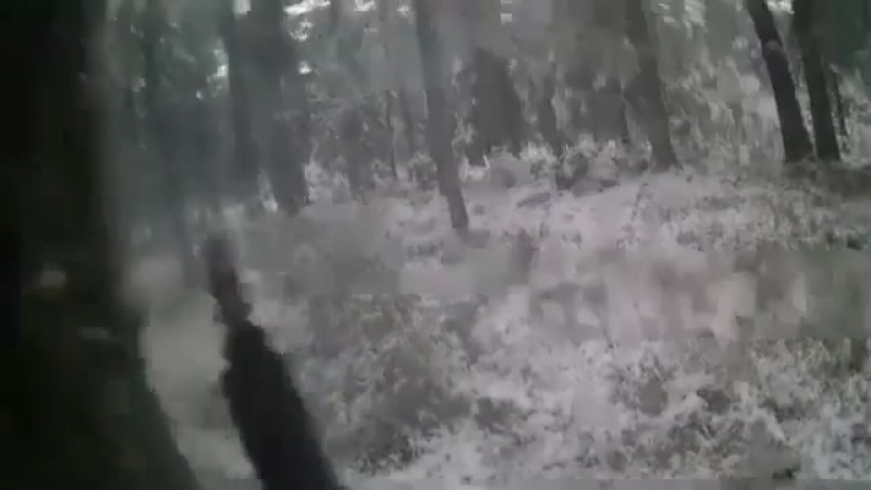 Шведы