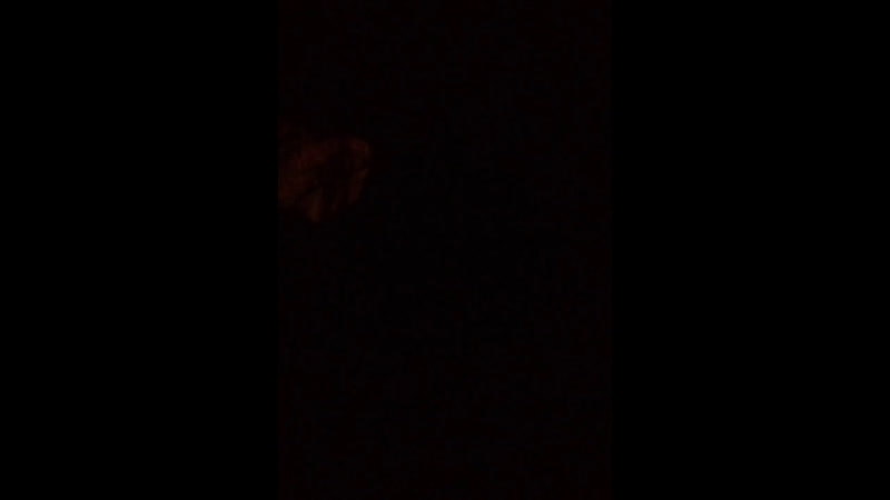 Live Серёжа