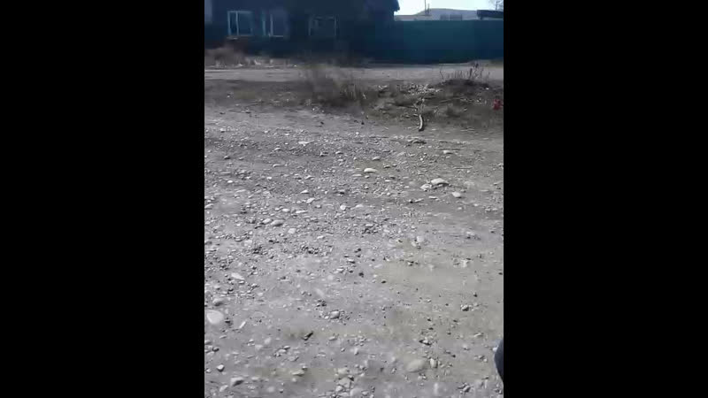 Тамерлан Монгуш - Live