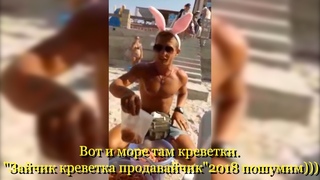 Зайка с креветками . Вот и море там креветки Зайчик креветка продавайчик 2018 пошумим