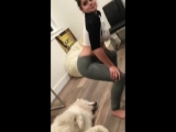 Ariel winter twerk