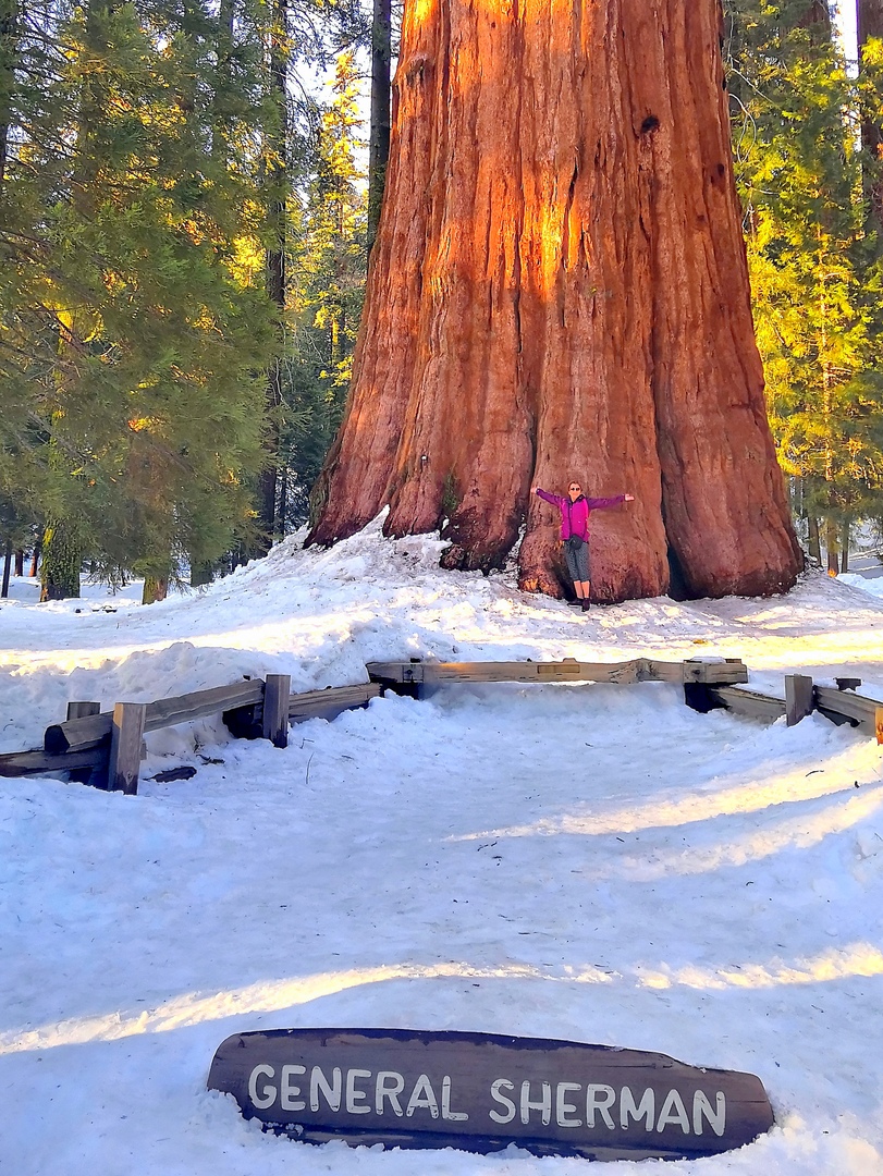 Ударим автопробегом по дикому западу! USA 2019 7-25 марта.